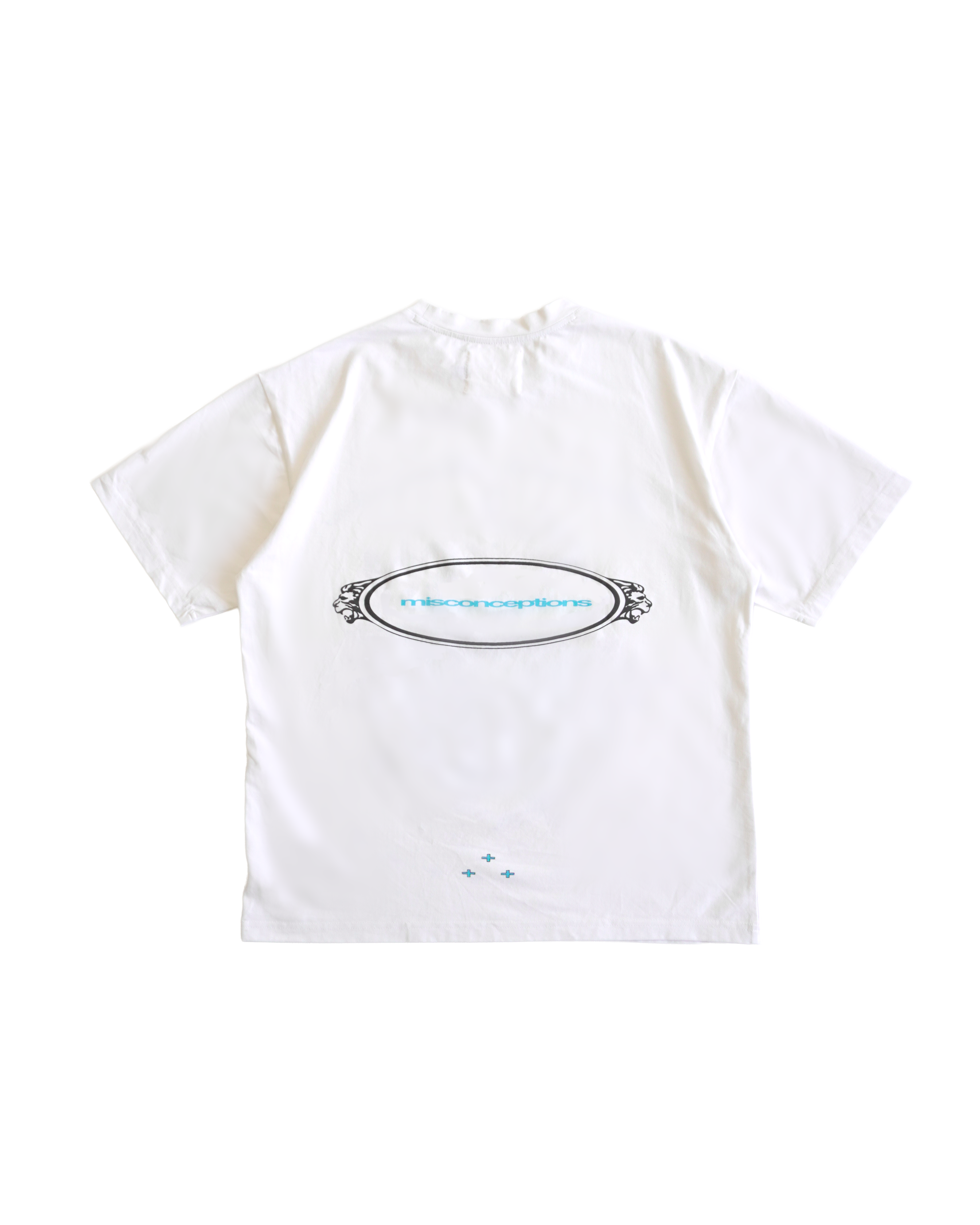 House of Misconceptions T-Shirt